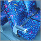 Coach Seats - click here